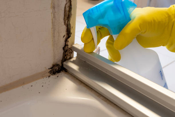 Best Mold Testing and Inspection Services in East Oakdale, CA