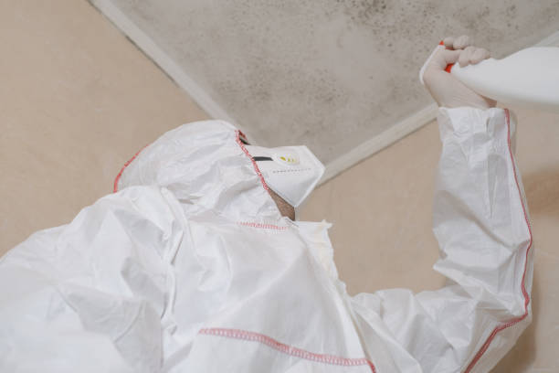 Professional Mold Remediation in East Oakdale, CA