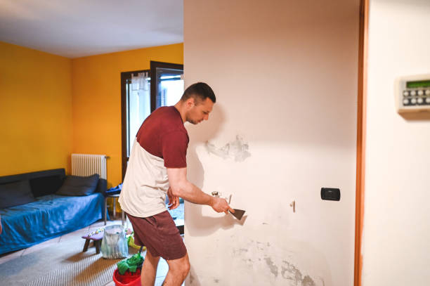 Best Preventive Mold Services in East Oakdale, CA